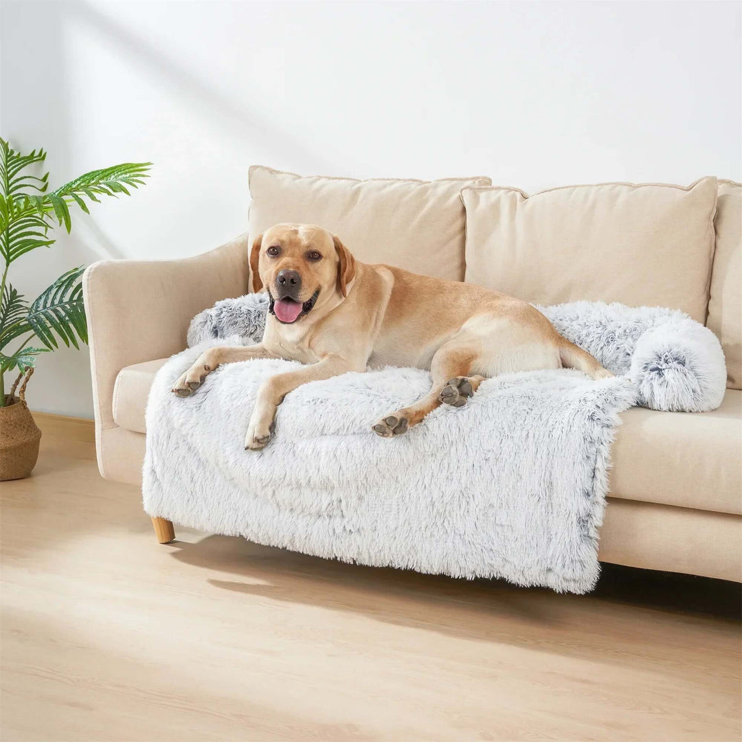 Couverture lavable pour canapé pour animaux de compagnie - Peluche