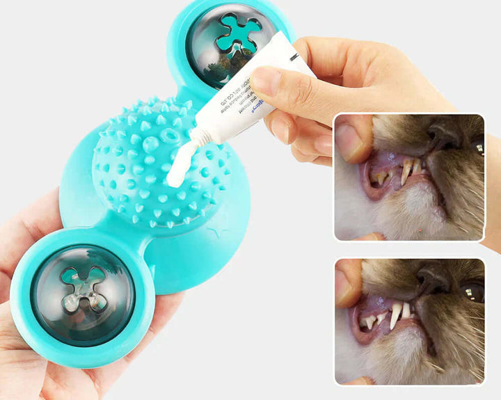 Moulin à vent interactif avec balles pour chat