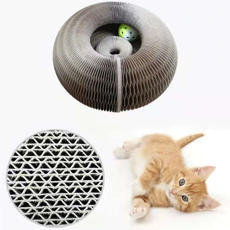 Jouets interactifs pour chats - jeux et divertissements