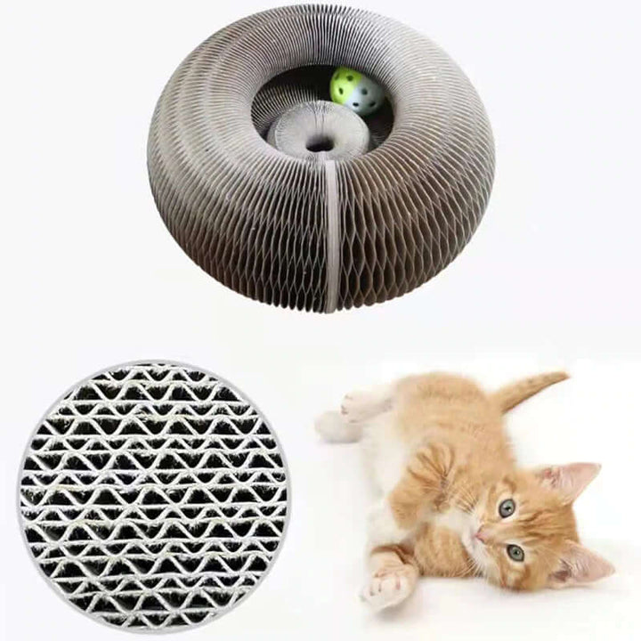 Jouets interactifs pour chats - jeux et divertissements
