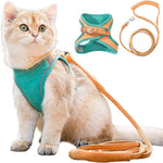 Orange | Teal