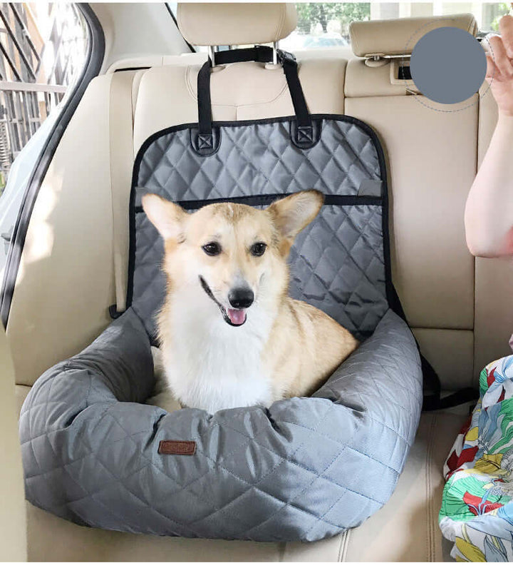 Siège auto et panier de voyage pour chien : sûr et confortable