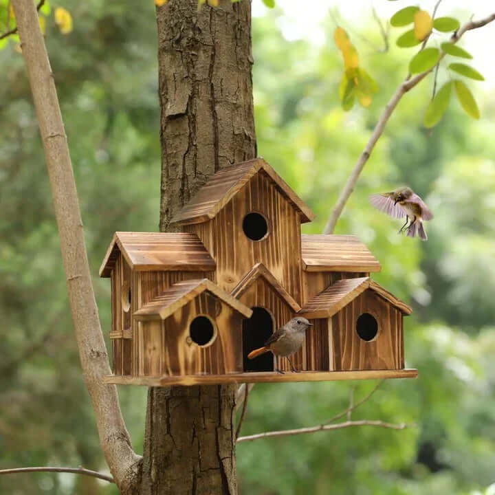 6-Loch Vogelhaus Holz - Handgefertigt
