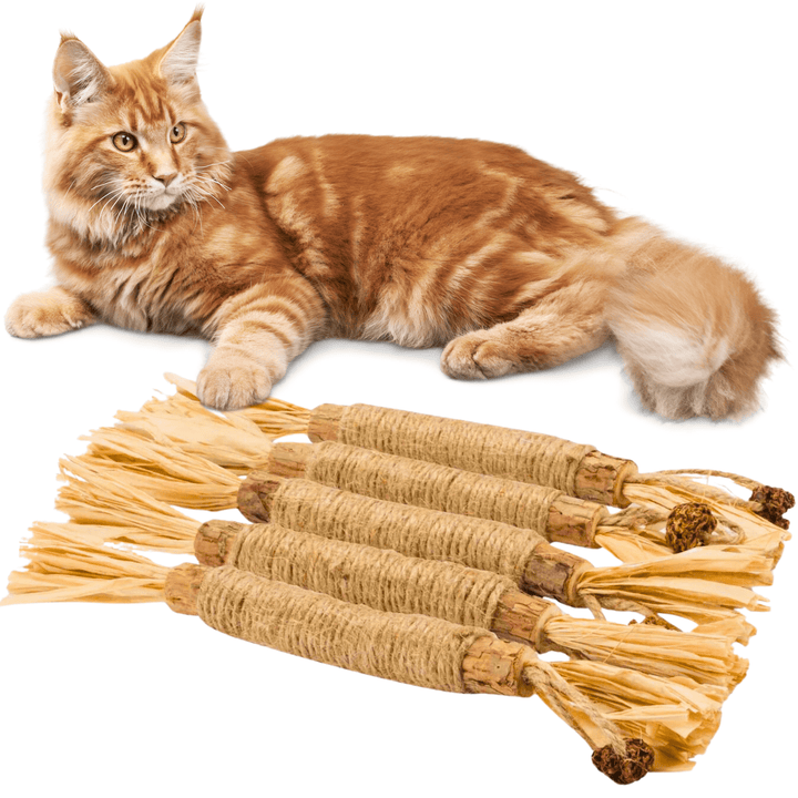 Bâtonnets à mâcher pour chat - Lot de 5 - Silvervine naturel