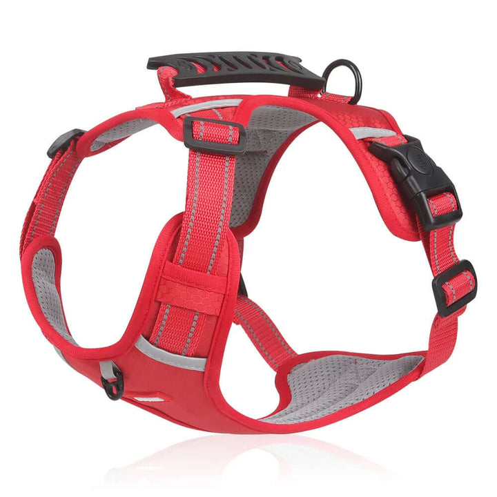 Harnais anti-traction pour chien Confort et sécurité