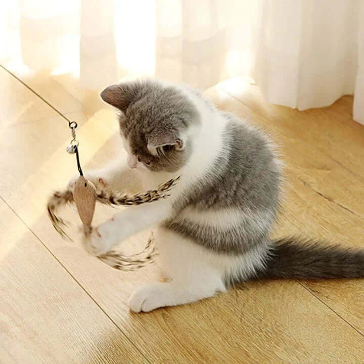 Jouet interactif pour chat - Oiseau à plumes