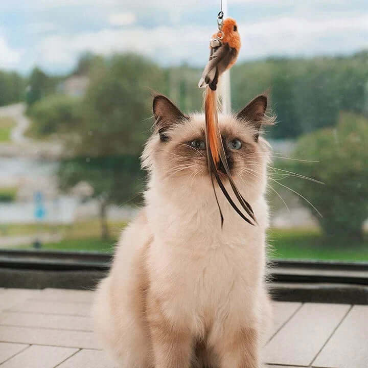 Jouet interactif pour chat - Oiseau à plumes