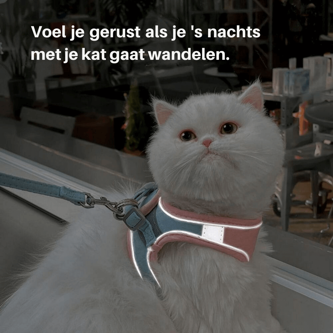 Ausbruchsicheres Katzengeschirr