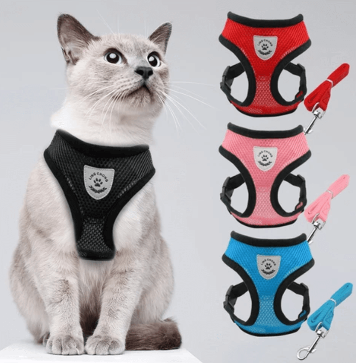 Ausbruchsicheres Katzengeschirr mit Leine