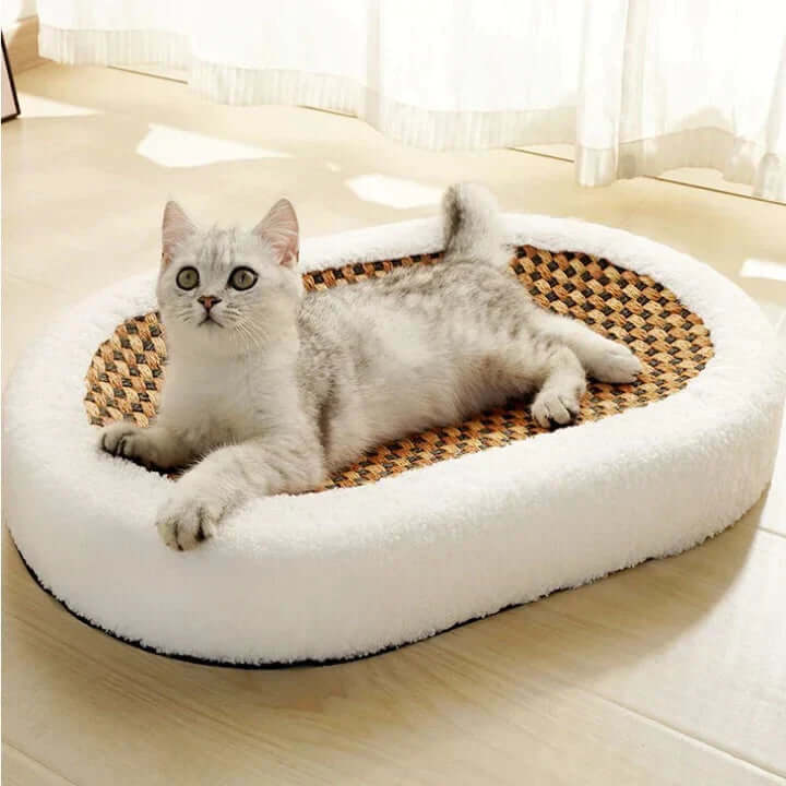Lit griffoir et grotte pour chat - câlin et robuste