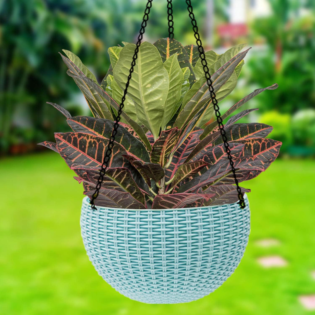 "Geflochtener Hängekorb mit natürlicher Optik, Kette zum Aufhängen, ideal für Balkon- und Gartendekor."