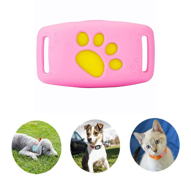"GPS Katzenhalsband mit Echtzeit-Tracking, wasserdicht IP67, verstellbar. Ideal für sichere Katzenortung."
