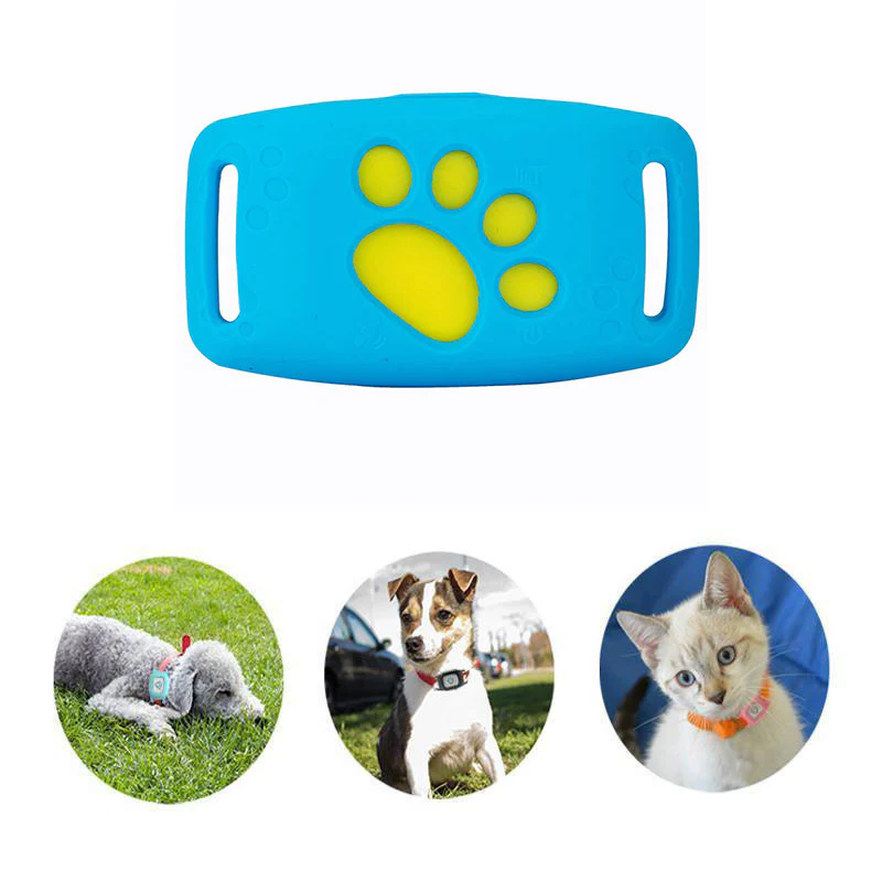"GPS Katzenhalsband mit Echtzeit-Tracking, wasserdicht IP67, verstellbar. Ideal für sichere Katzenortung."
