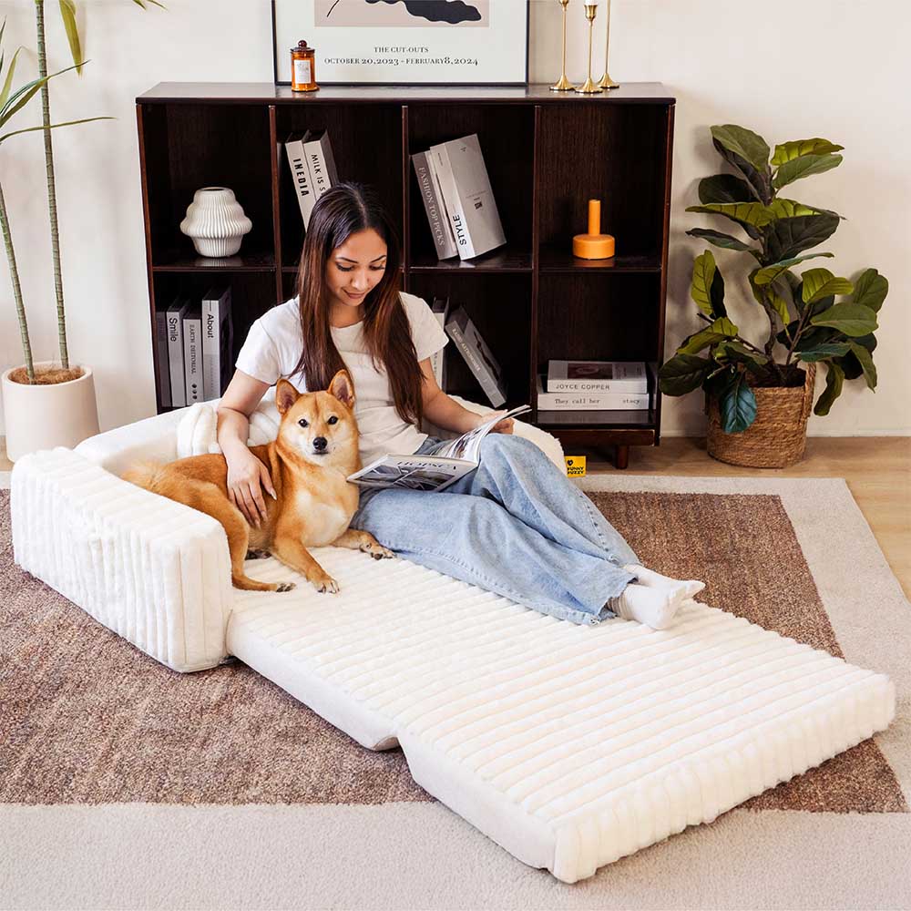 "Großes orthopädisches Mensch-Hund-Bett in flauschigem Beige mit weichen Nackenrollen für maximalen Komfort und Unterstützung