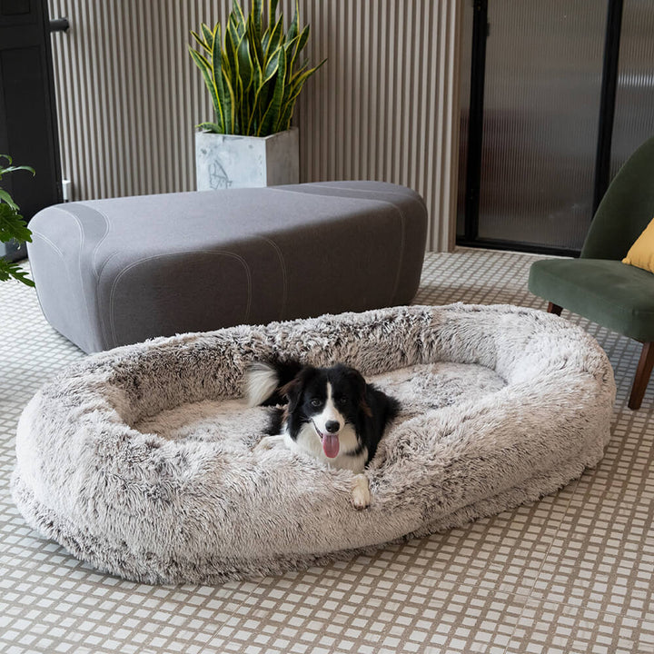"Großes orthopädisches Mensch-Hund-Bett in flauschigem Beige mit weichen Nackenrollen für maximalen Komfort und Unterstützung