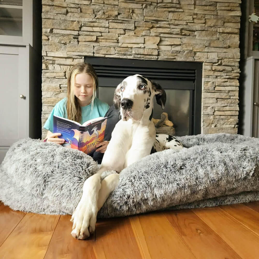 "Großes orthopädisches Mensch-Hund-Bett in flauschigem Beige mit weichen Nackenrollen für maximalen Komfort und Unterstützung