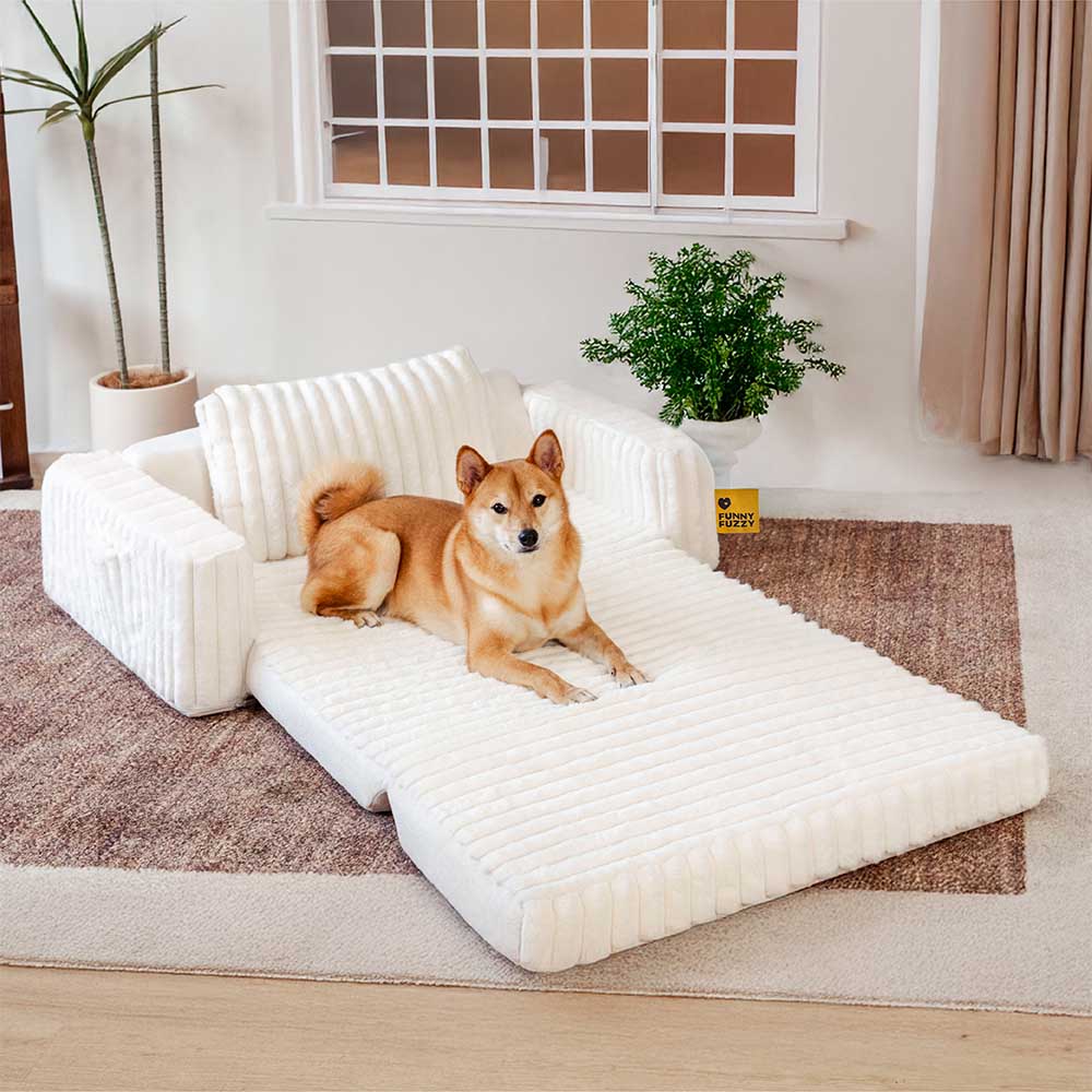 "Großes orthopädisches Mensch-Hund-Bett in flauschigem Beige mit weichen Nackenrollen für maximalen Komfort und Unterstützung