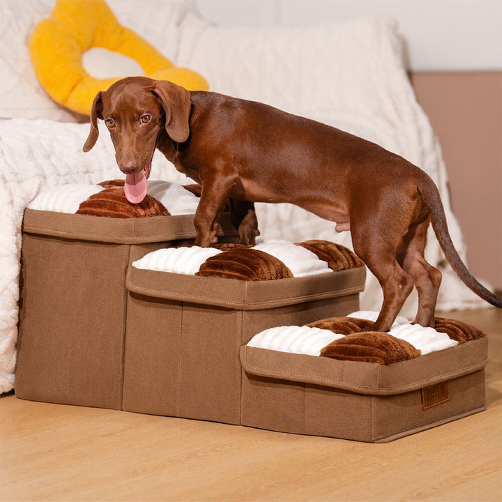 "Handgefertigte, graue Hundetreppe mit Stauraum, schützt Gelenke, rutschfest, ideal für ältere Hunde und Wohnungsdekor."