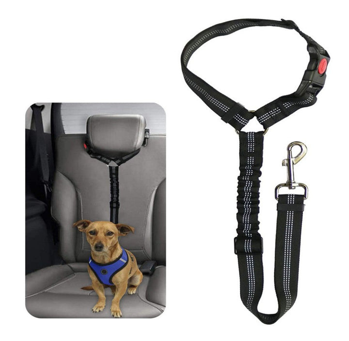 Hunde Auto Sicherheitsgurt, verstellbar, vielseitige Farben, 360-Grad-Karabiner, für sichere und bequeme Autofahrten.
