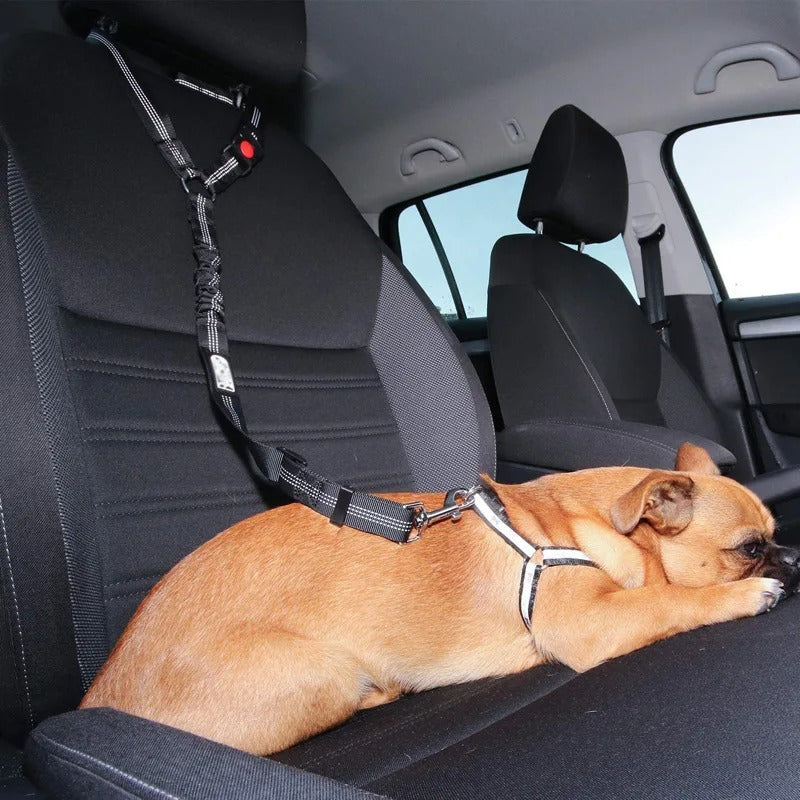 "Hunde-Autosicherheitsgurt mit 360° Drehkarabiner in Rot, bietet Sicherheit und Komfort auf jeder Reise."