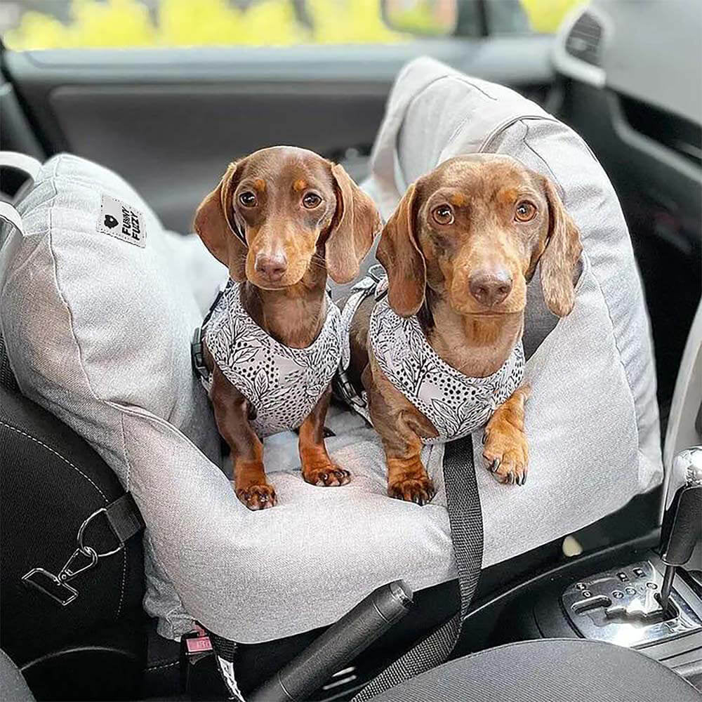 "Hunde-Autositzbett, grau, Einzelsitz, mit verstellbaren Gurten und abnehmbarem Bezug für Sicherheit und Komfort."