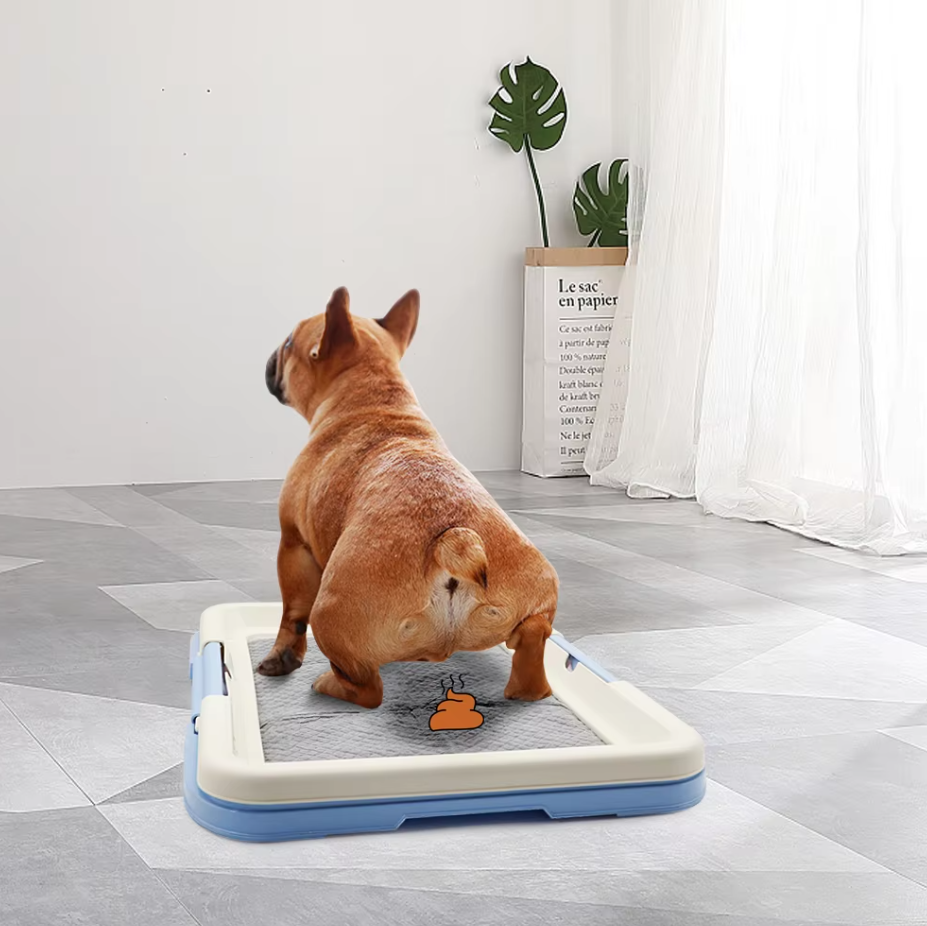 "Hunde-WC Indoor mit rutschfester, hygienischer Matte für Welpentoilette, ideal für kleine Hunde, in Blau oder Rosa."