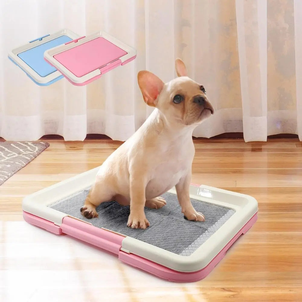 "Hunde-WC Indoor mit rutschfester, hygienischer Matte für Welpentoilette, ideal für kleine Hunde, in Blau oder Rosa."