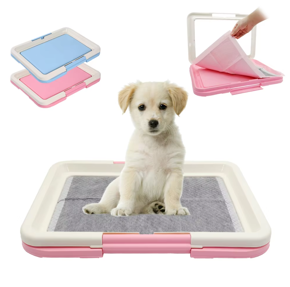 "Hunde-WC Indoor mit rutschfester, hygienischer Matte für Welpentoilette, ideal für kleine Hunde, in Blau oder Rosa."