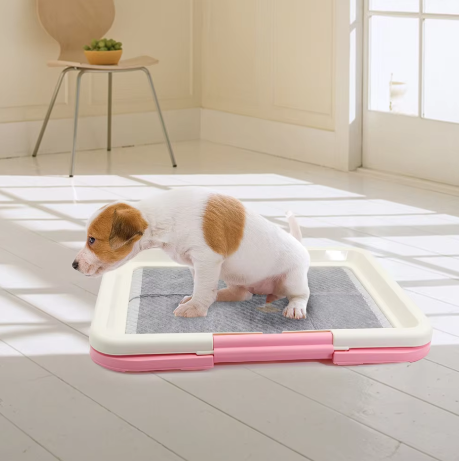 "Hunde-WC Indoor mit rutschfester, hygienischer Matte für Welpentoilette, ideal für kleine Hunde, in Blau oder Rosa."