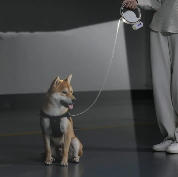 "Hundeleine mit LED-Licht, ausziehbar, ergonomischer Griff, reflektierend, für sicheres Nachtspazieren mit Hund"