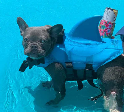 "Hundeschwimmweste mit Hai-Flosse, blauer Stoff, verstellbare Gurte, für Sicherheit im Wasser, für Hunde aller Größen."