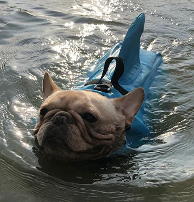 "Hundeschwimmweste mit Hai-Flosse, blauer Stoff, verstellbare Gurte, für Sicherheit im Wasser, für Hunde aller Größen."