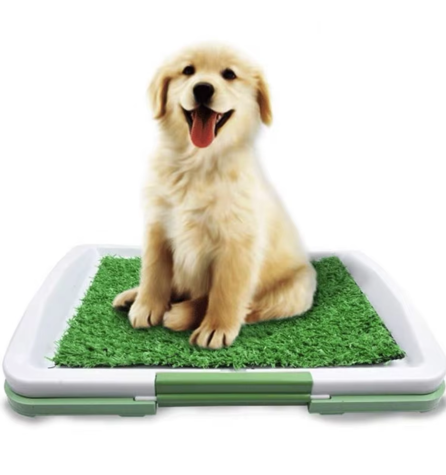 "Hundetoilette mit Kunstrasen und rutschfester Matte für stabilen, hygienischen Komfort zu Hause oder im Garten."