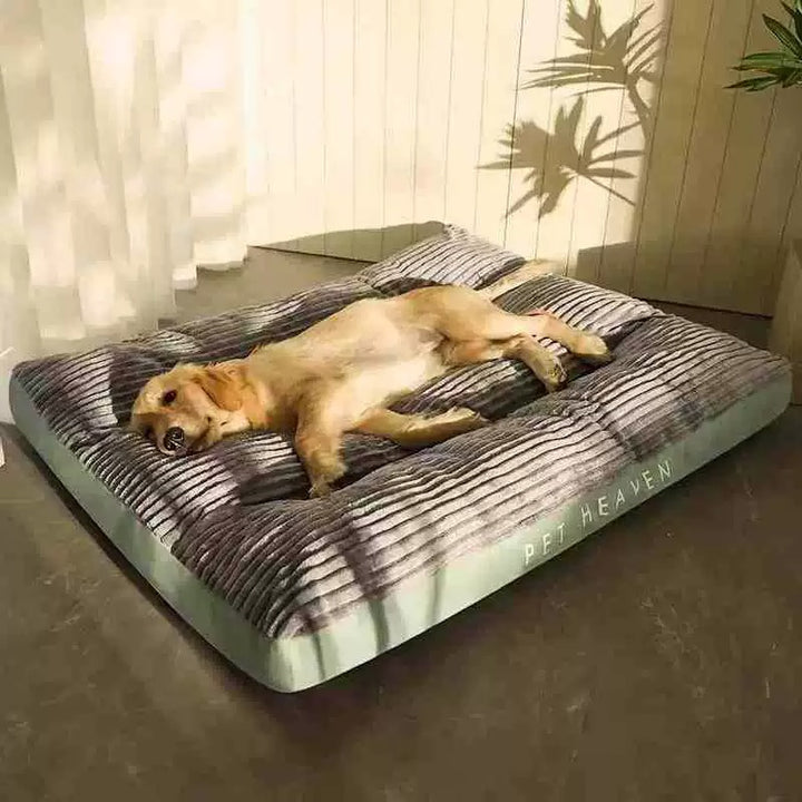 Orthopädisches Hundebett - Kuschelig & Stützend