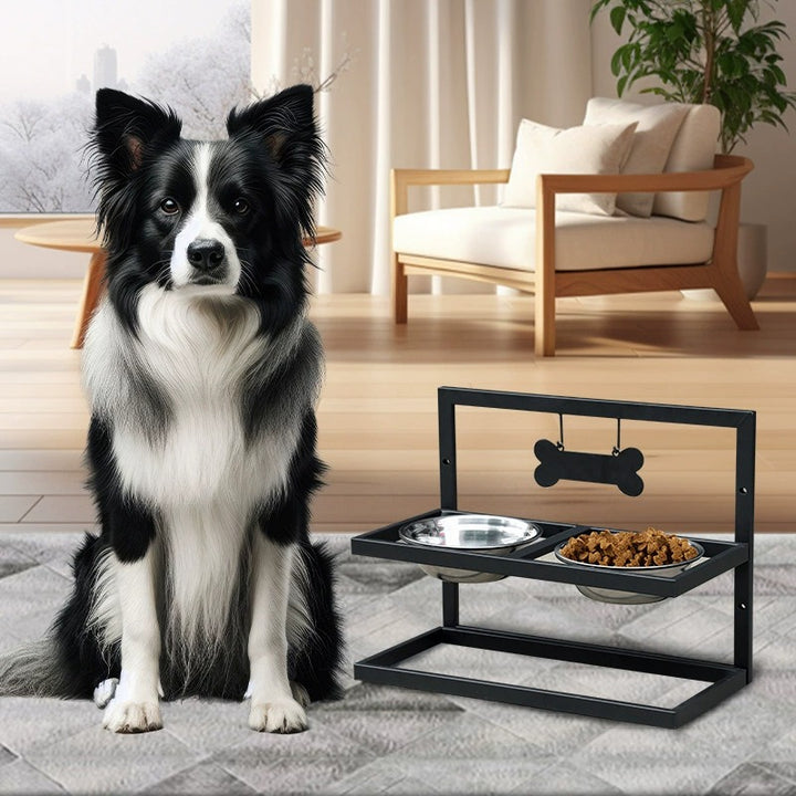 Gamelle surélevée pour chien avec 2 gamelles