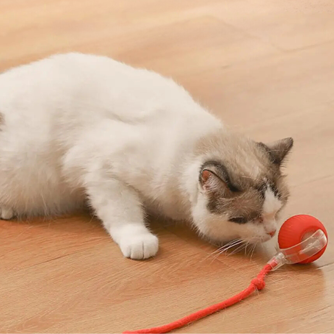 "Interaktiver Katzen-Spielball mit beweglichem Schwanz, fördert Jagdinstinkt, sicher & langlebig für stundenlangen Spielspaß"