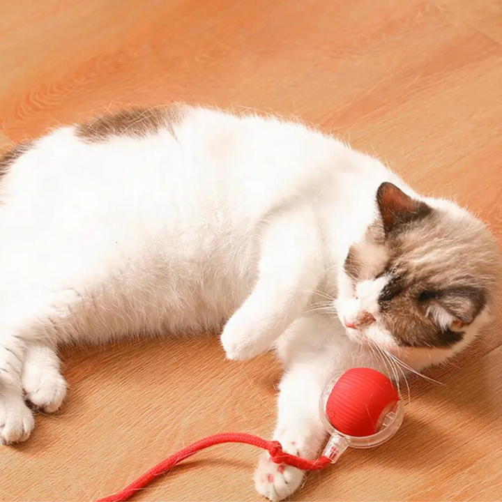 "Interaktiver Katzen-Spielball mit beweglichem Schwanz, fördert Jagdinstinkt, sicher & langlebig für stundenlangen Spielspaß"