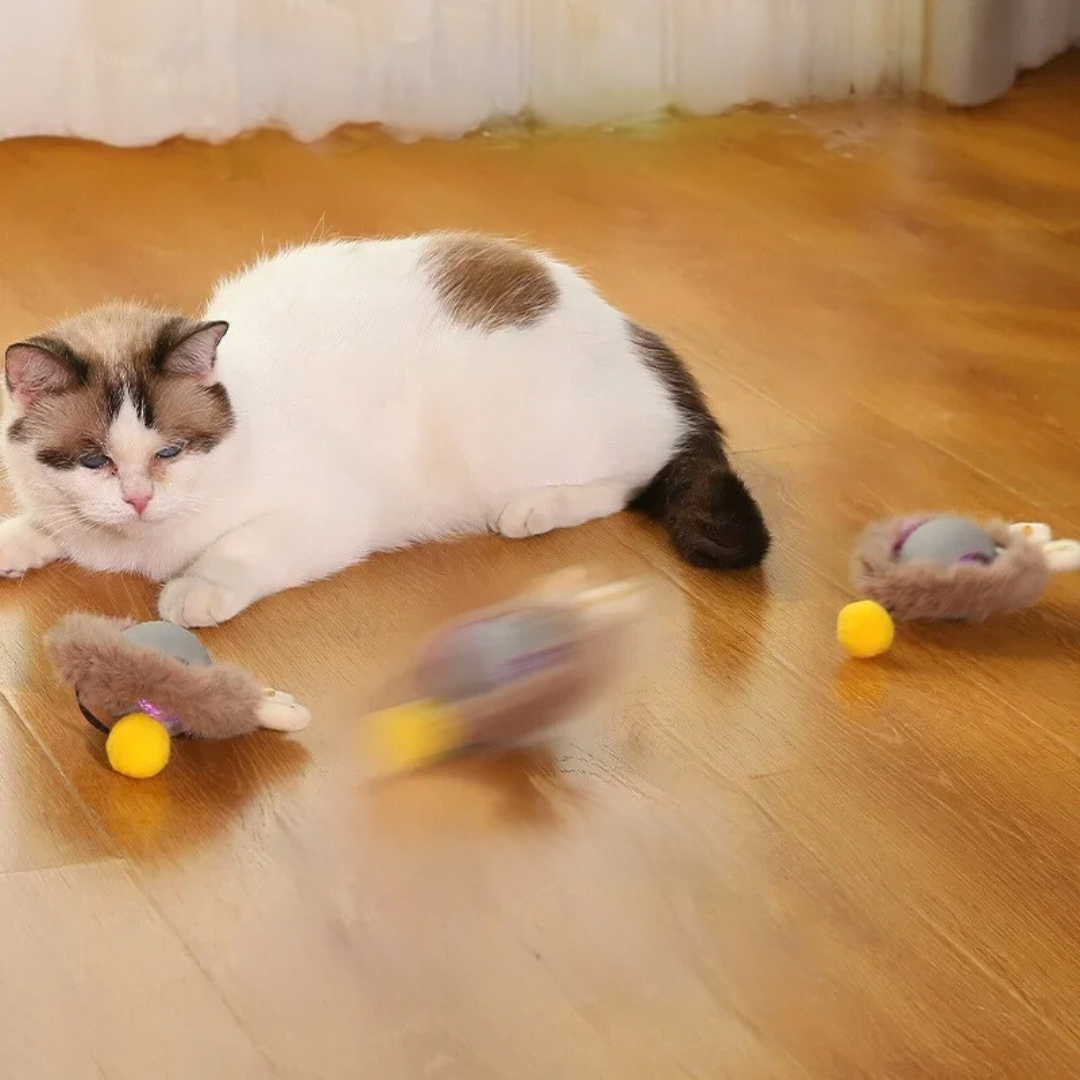 "Interaktiver Katzen-Spielball mit beweglichem Schwanz, fördert Jagdinstinkt, sicher & langlebig für stundenlangen Spielspaß"