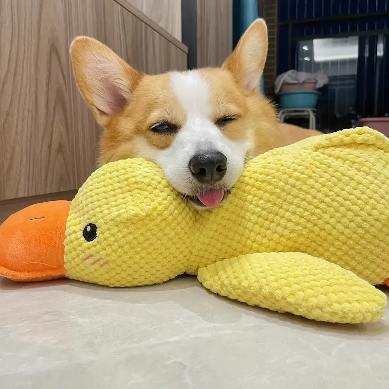 Interaktives, gelbes Hundespielzeug-Ente mit Geräuschen zur Zahnpflege, Ansicht von vorne.