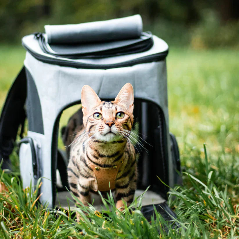 "Katzenrucksack mit Sichtfenster und Belüftung für bequeme Reisen im Wald, stilvolles Design, graue Farbe"