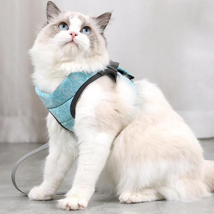 "Komfortables, atmungsaktives Katzen-Geschirr mit Anti-Ausbruchs-Funktion und Leine, ideal für sichere Spaziergänge."