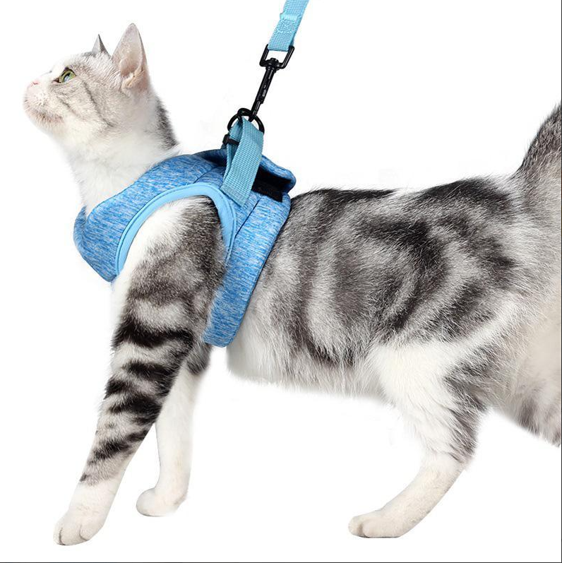 "Komfortables, atmungsaktives Katzen-Geschirr mit Anti-Ausbruchs-Funktion und Leine, ideal für sichere Spaziergänge."