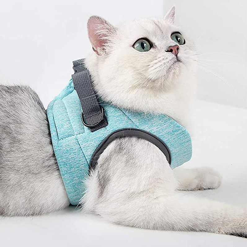 "Komfortables, atmungsaktives Katzen-Geschirr mit Anti-Ausbruchs-Funktion und Leine, ideal für sichere Spaziergänge."