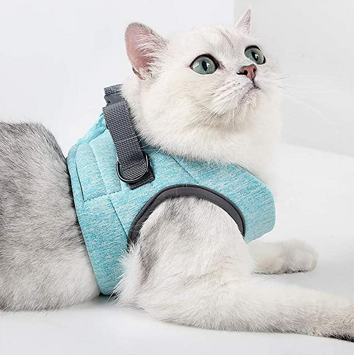 "Komfortables, atmungsaktives Katzen-Geschirr mit Anti-Ausbruchs-Funktion und Leine, ideal für sichere Spaziergänge."