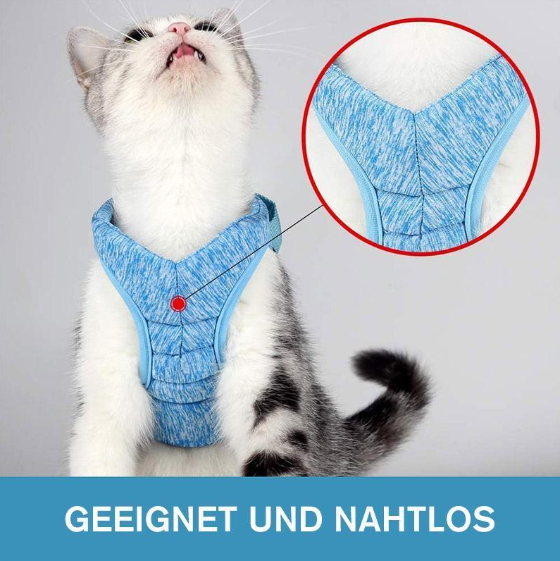 "Komfortables, atmungsaktives Katzen-Geschirr mit Anti-Ausbruchs-Funktion und Leine, ideal für sichere Spaziergänge."