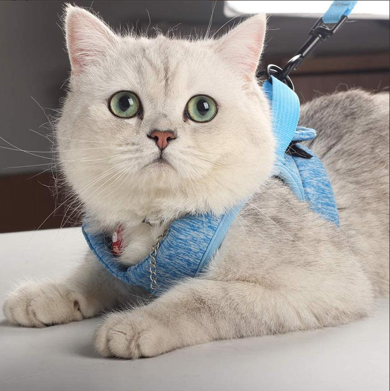 "Komfortables, atmungsaktives Katzen-Geschirr mit Anti-Ausbruchs-Funktion und Leine, ideal für sichere Spaziergänge."