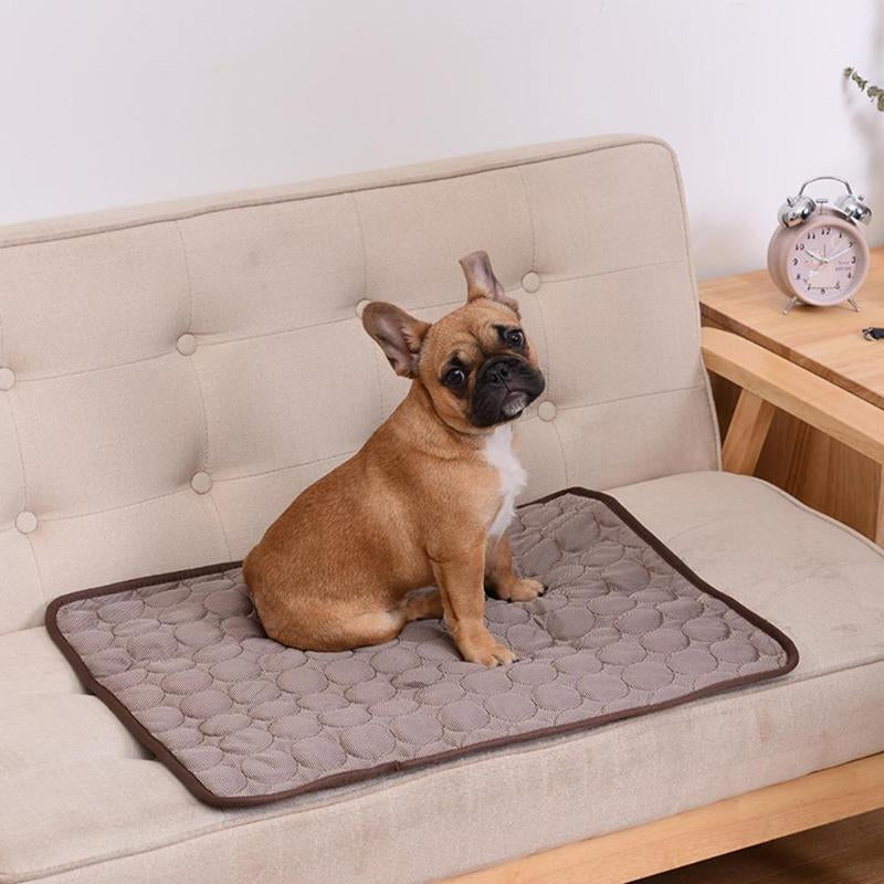 "Kühlmatte für Haustiere, blau-grau, auf Teppich liegend, bietet schnelle Kühlung für Hunde und Katzen im Sommer."