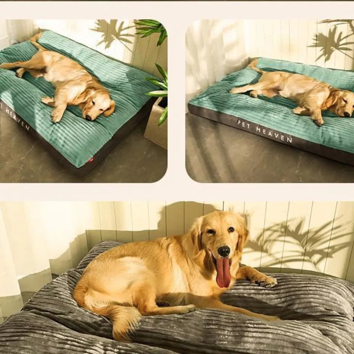 "Kuscheliges orthopädisches Hundebett in Grau, flauschige Oberfläche, ideal für ältere und empfindliche Hunde."