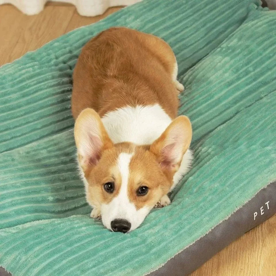 "Kuscheliges orthopädisches Hundebett in Grau, flauschige Oberfläche, ideal für ältere und empfindliche Hunde."