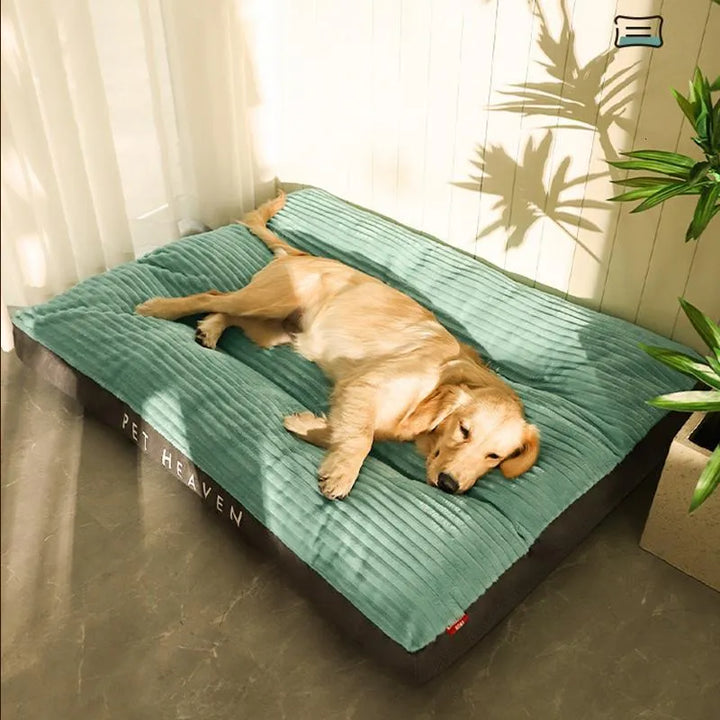"Kuscheliges orthopädisches Hundebett in Grau, flauschige Oberfläche, ideal für ältere und empfindliche Hunde."